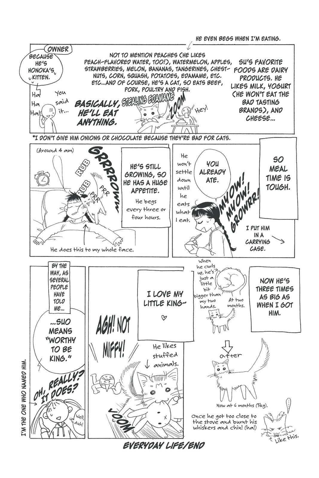 page 197