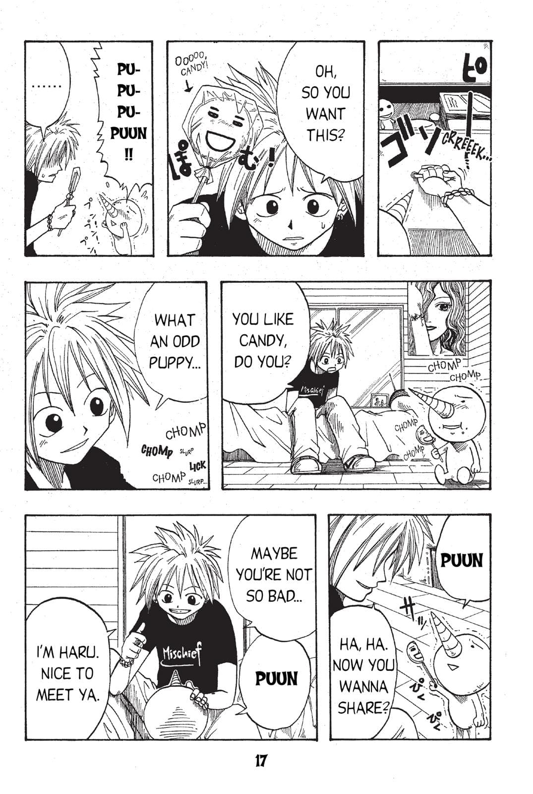 page 17