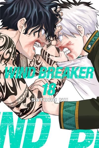 Wind Breaker (NII Satoru)